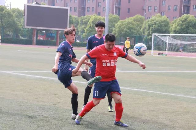 日本高市内阁全体成员递交辞职申请